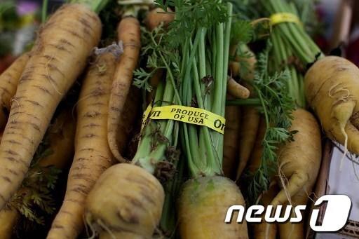 본문 이미지 - © AFP=News1  