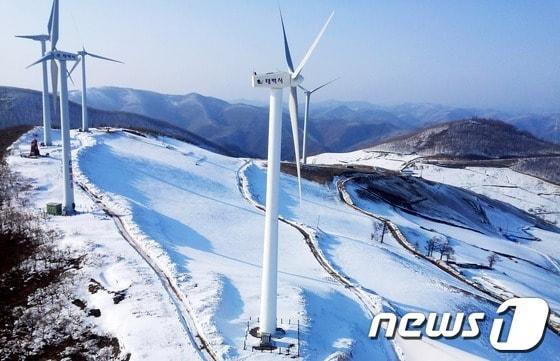 본문 이미지 - 강원 태백시 매봉산 정상의 풍력발전단지.(뉴스1 자료사진)© News1