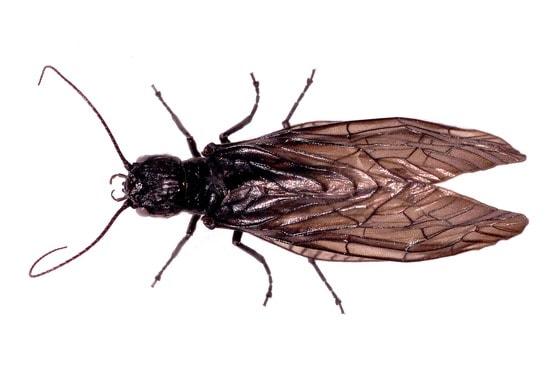 본문 이미지 - © News1 