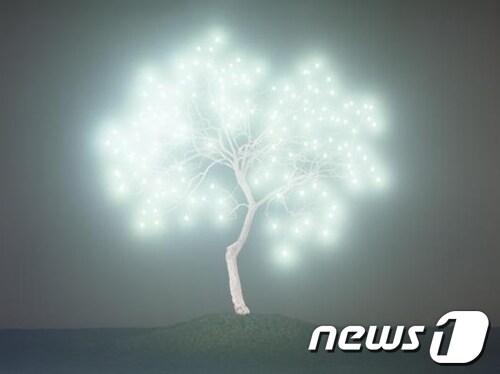 본문 이미지 - 이정록의 '생명나무'© News1 