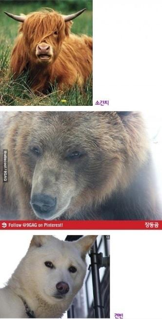 본문 이미지 - 온라인 커뮤니티 © News1 