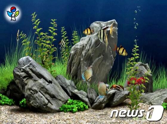 본문 이미지 - 나라사랑 큰나무 스크린세이버 이미지© News1 