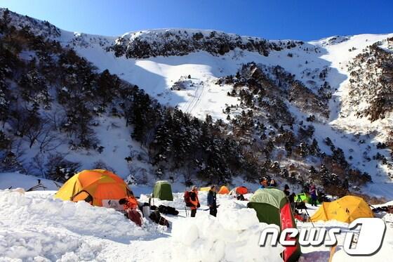 본문 이미지 - 사진제공=한라산국립공원관리사무소 © News1