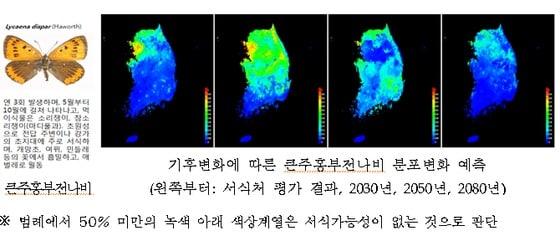 본문 이미지 - © News1 