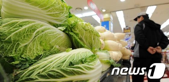 본문 이미지 -  한 대형마트에서 시민이 야채코너를 둘러보는 모습.  © News1   박지혜 기자