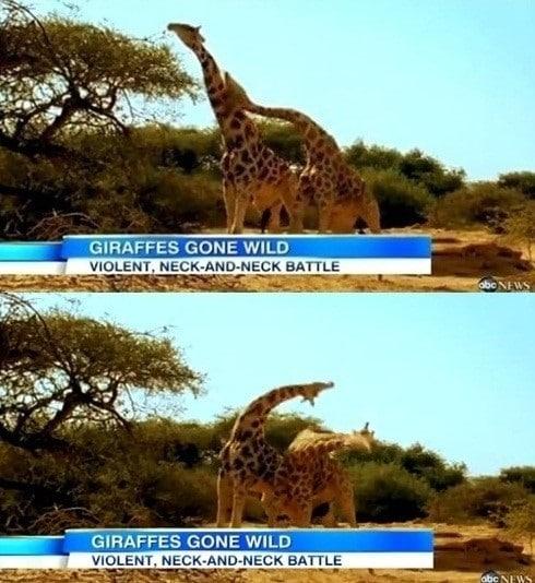 본문 이미지 - 온라인 커뮤니티. © News1 