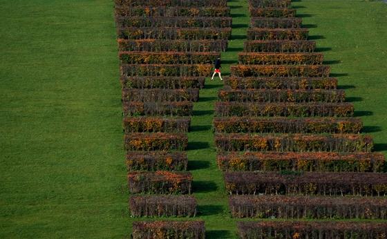 본문 이미지 - 베를린 시민이 14일(현지시간) 베를린 연방하원 청사 정면에 조성된 관목울타리를 지나가고 있다. 넓은 잔디밭 가운데에 들어앉은  관목울타리가 수채화처럼 아름답다. ©AFP=뉴스1  