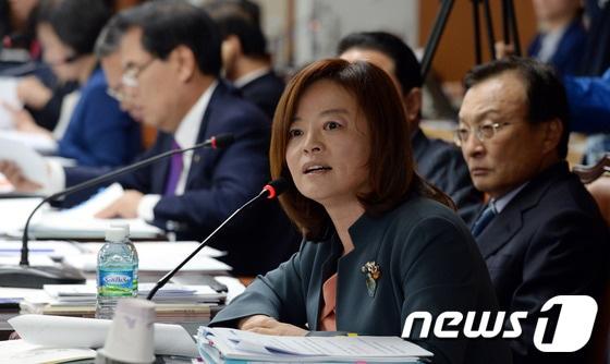 본문 이미지 - 국정감사 이틀째인 15일 오전 서울 미근동 경찰청에서 열린 국회 안전행정위의 경찰청 국감에서 진선미 민주당 의원이 질의하고 있다. 2013.10.15/뉴스1 © News1   양동욱 기자