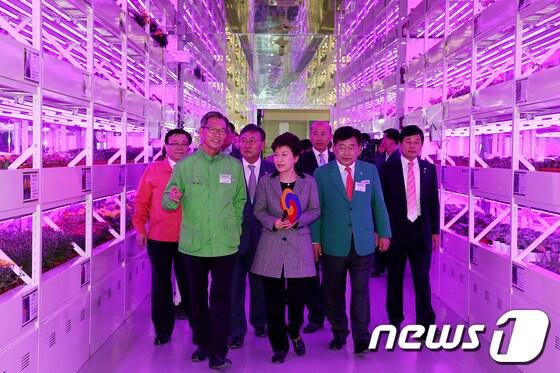 본문 이미지 - 박근혜 대통령이 20일 오전 전남 순천시 순천만 국제정원박람회장을 방문, 전시관을 둘러보고 있다. (청와대 제공) 2013.10.20/뉴스1 © News1 박철중 기자