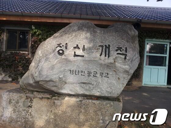 본문 이미지 - /사진=이성환 기자 © News1  