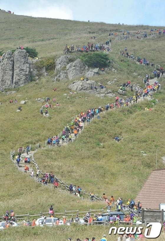 본문 이미지 - 울산 신불산 간월재. /뉴스1