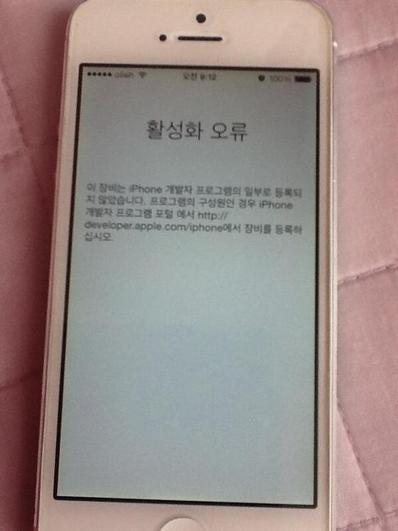 본문 이미지 - 트위터 @hyang_slv © News1  