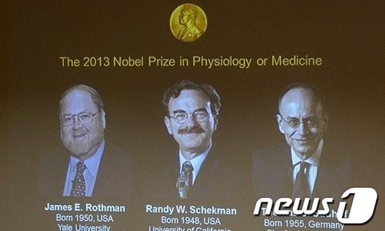 본문 이미지 - 스웨덴 노벨상 위원회는 올해 노벨 생리학상 수상자로 세포막을 연구한 제임스 로스먼 예일대 교수, 랜디 셰크먼 UC 버클리대학교 교수 등 미국인 2명을 포함해 독일인인 토마스 쥐토프 스탠포트대 교수를 선정했다. © 뉴스1 