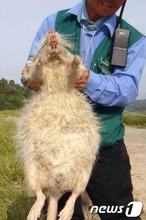 본문 이미지 - © News1  