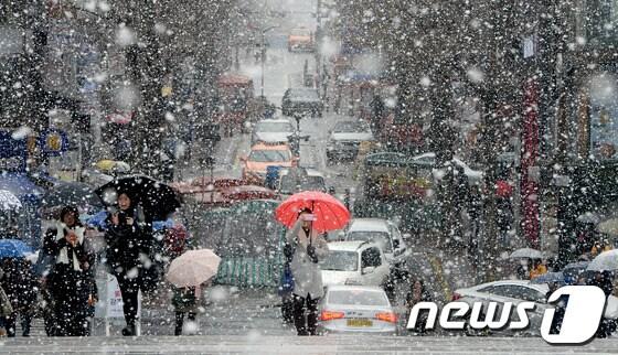 본문 이미지 - 기상청은 11일 오전 5시 기준 서울에 0.5cm의 눈이 내렸다고 밝혔다. © News1   양동욱 기자