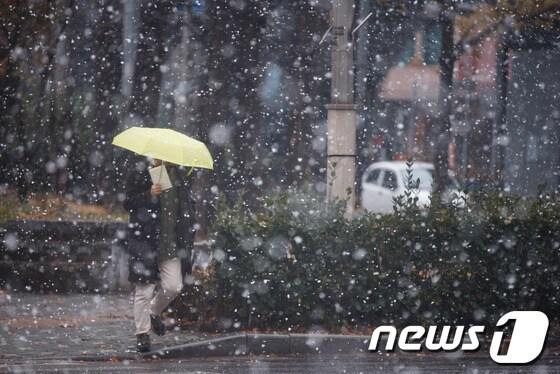 본문 이미지 - 서울을 비롯한 중부지방에 많은 눈이 내린 27일 오후 서울 중구 순화동에서 한 시민이 눈을 맞으며 횡단보도를 건너고 있다.기상청은 저녁까지 중부지방을 중심으로 많은 눈이 내린 후 내일 오전 서울이 영하5도까지 떨어지는 등 추위가 절정에 이를 것으로 예상했다. 2013.11.27/뉴스1 © News1   유승관 기자