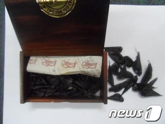 본문 이미지 - 가짜 '코브라 쓸개' 모습. <부산경찰청 제공>© News1 