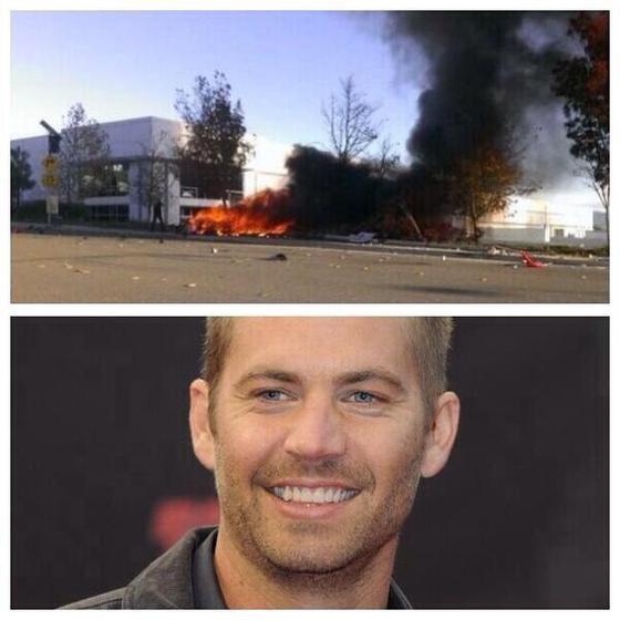 본문 이미지 - 트위터 @taylorcaniff © News1   김현아 기자