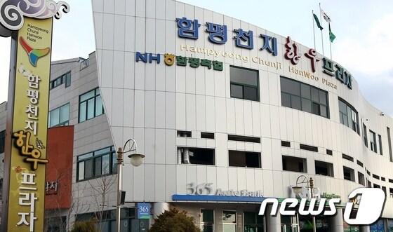 본문 이미지 - 사진제공=함평군 © News1 