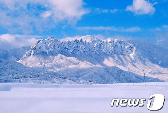 본문 이미지 - 설악산 설원. (국립공원관리공단 제공) © News1 