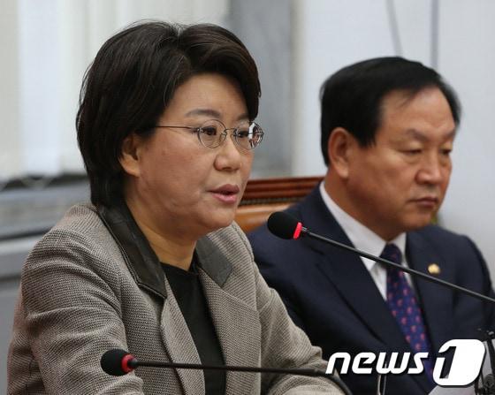 본문 이미지 - 이혜훈 새누리당 최고위원이 16일 서울 여의도 국회에서 열린 최고위원회의에서 발언을 하고 있다. 2013.12.16/뉴스1 © News1 송원영 기자