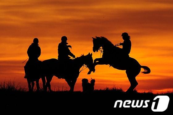 본문 이미지 - 떠오르는 붉은 태양위로 말이 달려온다. 갑오년 청말 띠의 해다. 소망한다. 푸른 말&#40;靑馬&#41;처럼 드높은 기상으로 우리 모두에게 활력이 넘치는 한 해가 되게 해달라고. 우리를 웃음짓게 하고, 때로는 눈물나게 했던 계사년의 모든 일들은 저 붉은 태양속에 던져두고 새해에는 푸른 말&#40;靑馬&#41;을 타고 저마다 꿈꾸는 행복의 나라로 달려가자. 2013.12.31/뉴스1  © News1   최창호 기자  