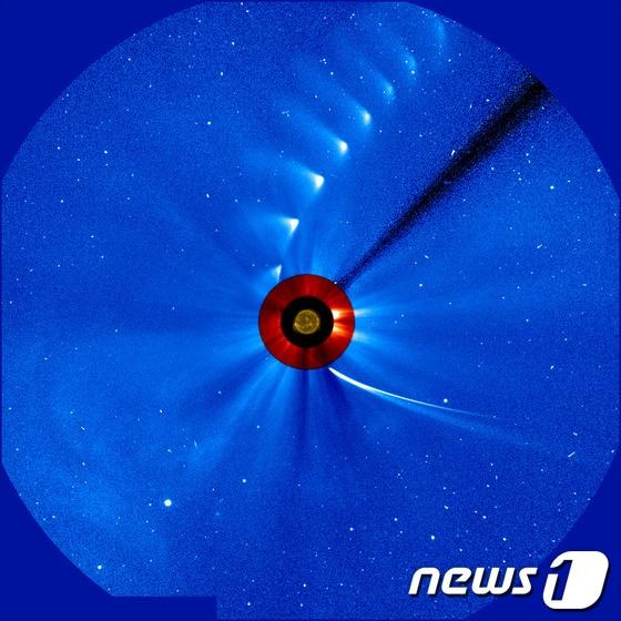 본문 이미지 - 지난 2일&#40;현지시간&#41; 미국 항공우주국&#40;나사&#41;가 만든 시간대별 아이손의 모습. 태양에 접근하기 전&#40;아래&#41;에는 핵과 함께 긴 꼬리를 유지하고 있으나 태양 인근을 지난 후에는 점차 빛이 소멸해 잔해만 남고 있다.© AFP=News1  