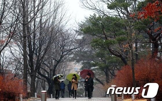 본문 이미지 - 서울 관악구 신림동 서울대학교 교정. /뉴스1 © News1 한재호 기자
