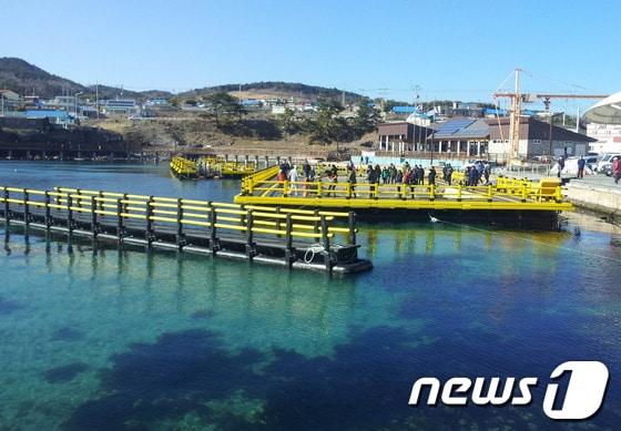본문 이미지 - 구룡포 장길리 복합낚시 공원내 가두리 낚시터./사진제공=포항시© News1 
