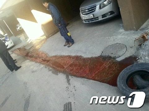 본문 이미지 - © News1  