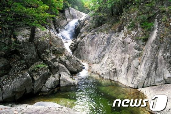 본문 이미지 -  주왕산./뉴스1 © News1  