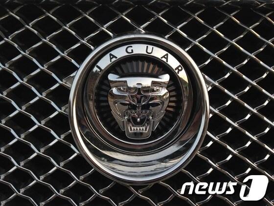 본문 이미지 - 재규어 마크© News1  