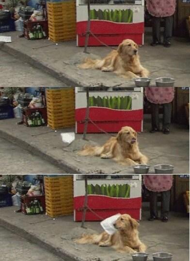 본문 이미지 - 온라인 커뮤니티.© News1 