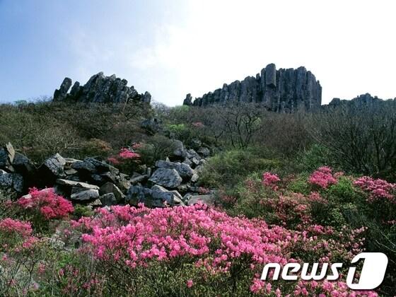 본문 이미지 - 김양배 기자의 '무등산 국립공원, 그 비경을 찾아서'.© News1 