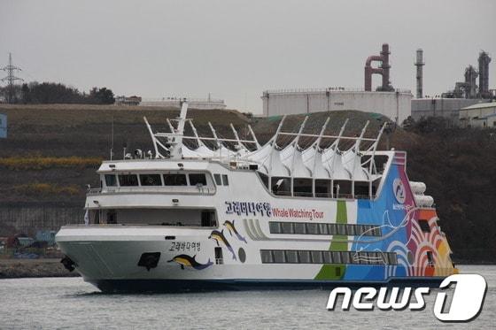본문 이미지 - 울산 남구의 크루즈 고래바다여행선.  /사진 제공=울산 남구 © News1  