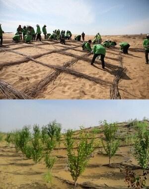 본문 이미지 - 서울시 방풍림 식재활동. © News1  