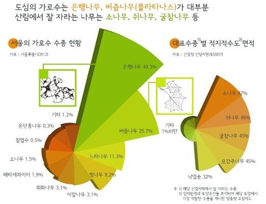본문 이미지 - 서울연구원 인포그래픽스 제27호(서울의 가로수는 어떤 나무가 가장 많을까요?)© News1   