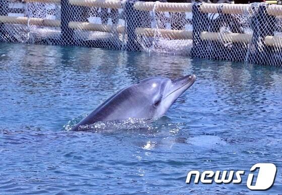 본문 이미지 - © News1 이상민 기자