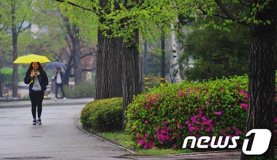 본문 이미지 - 2013.5.10/뉴스1 © News1