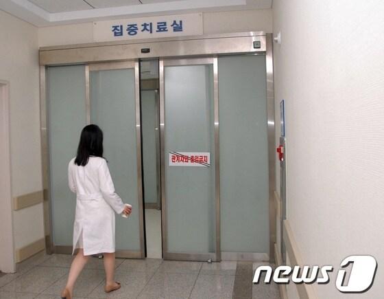 본문 이미지 -  © News1 