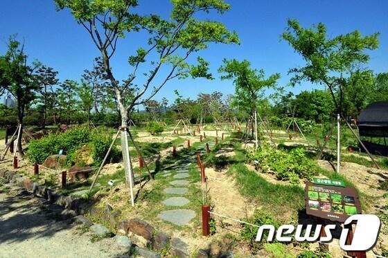 본문 이미지 - 22일 문을 열 한밭수목원 약용식물원 전경© News1 