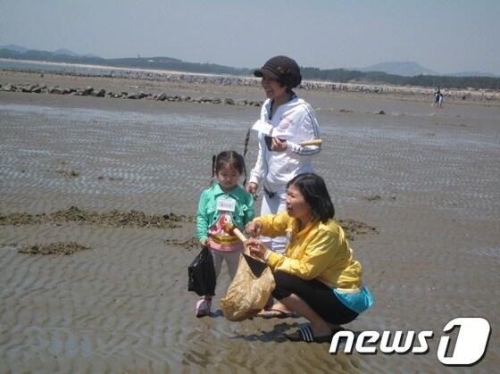 본문 이미지 -                   사진제공=속리산국립공원사무소© News1  