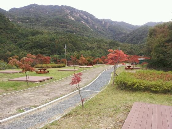 본문 이미지 - 충남 논산시 대둔산도립공원 내 마련된 오토캠핑장 전경. © News1  