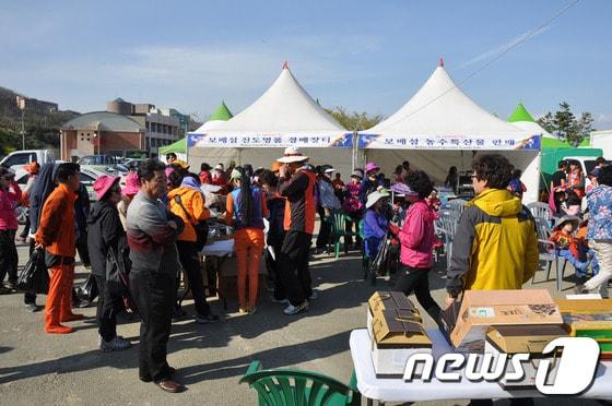 본문 이미지 - 사진제공=진도군© News1 