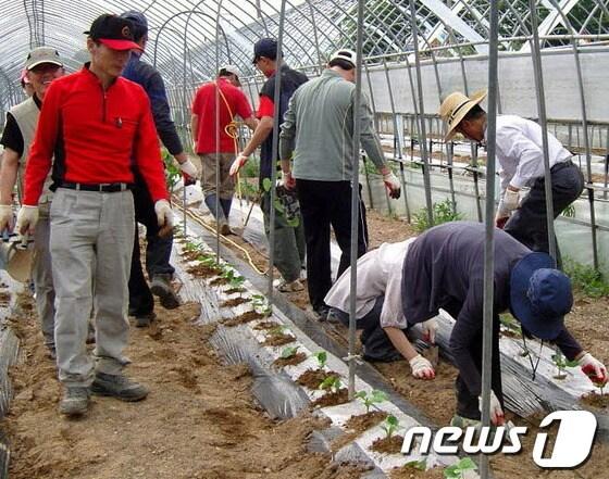 본문 이미지 - 사진제공=제천시. © News1 