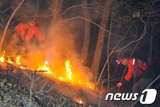 본문 이미지 - 중부지방산림청 직원들이 공주시 우성면 산불을 진화하고있다. © News1 