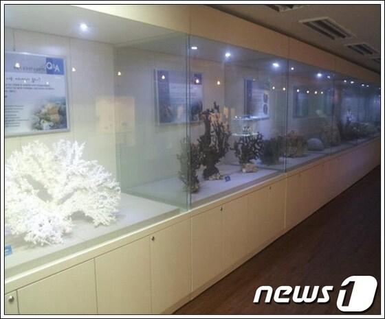 본문 이미지 - 부산항만청은 23일부터 6월2일까지 태종대 영도등대 See & Sea 갤러리에서 ‘울산해양박물관’초청 특별 전시회를 개최한다.© News1 