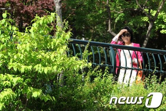 본문 이미지 - 24일은 전국이 대체로 맑을 것으로 보인다. © News1 안은나 기자
