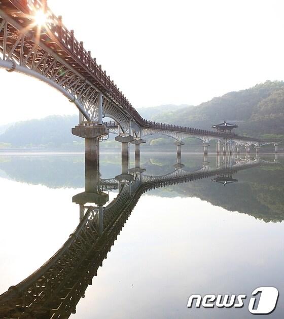 본문 이미지 - 사진제공=안동시농업기술센터 이용덕 © News1 