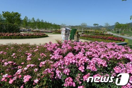 본문 이미지 - 순천정원박람회장 내 야수의 장미 정원 전경© News1서순규 기자 